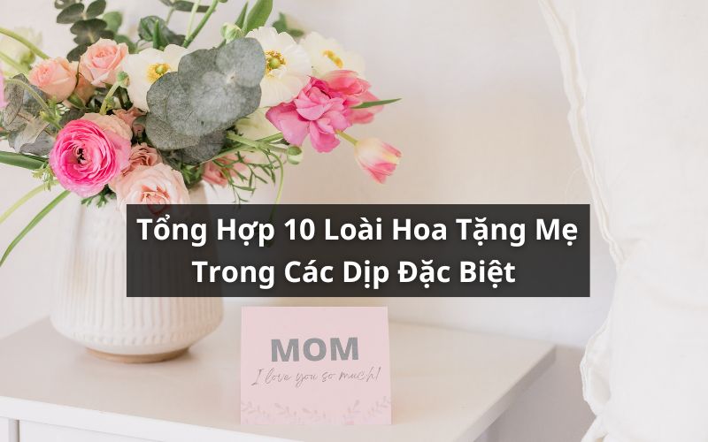 hoa tặng mẹ