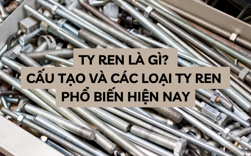 ty ren là gì