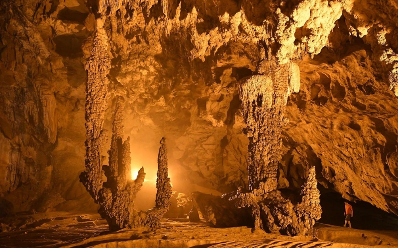 động ngườm ngao