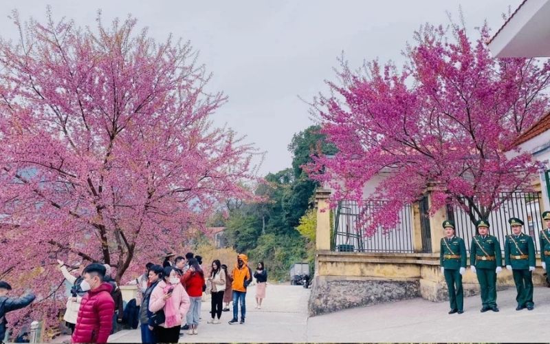 sau tết âm lịch